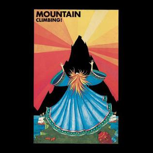 Release cover
